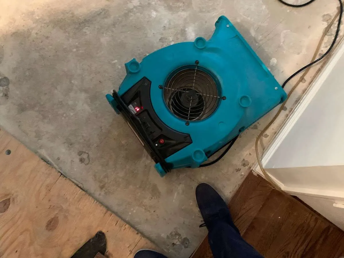 Air mover drying subfloor during Commercial Water Damage Restoration in Franklin